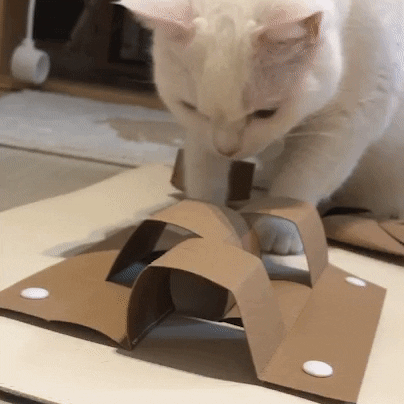 캐치하다 고양이 먹이퍼즐 - 천연펄프